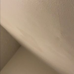 Meet your Posher, Samson